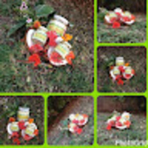 Meet your Posher, Marsha